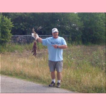 IMG_0108_Randy_Roadkill.JPG 98.4K